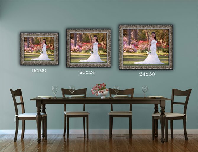 framing Wilmington Wedding and Portrait Photographers