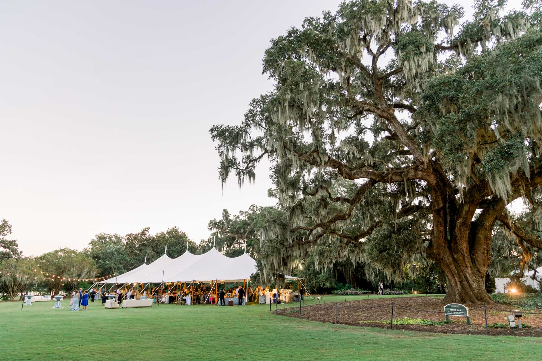 Evening wedding reception under a tent at Airlie Gardens surrounded by oak trees and twinkle lights